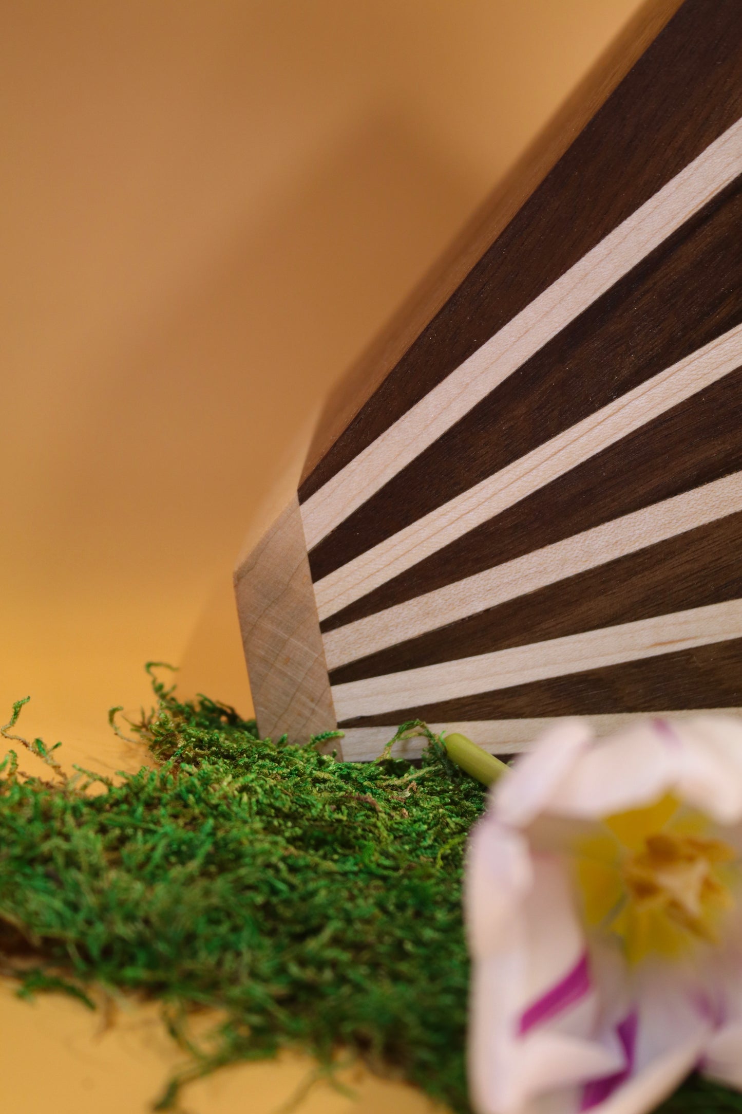 Kitchen Knife Stand