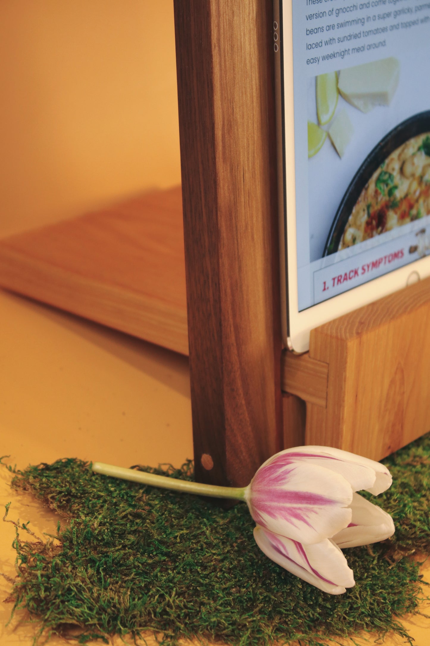 Kitchen Counter Stand